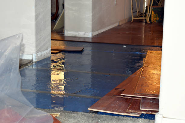 Professional Water Damage Restoration technician working in Casco, MI